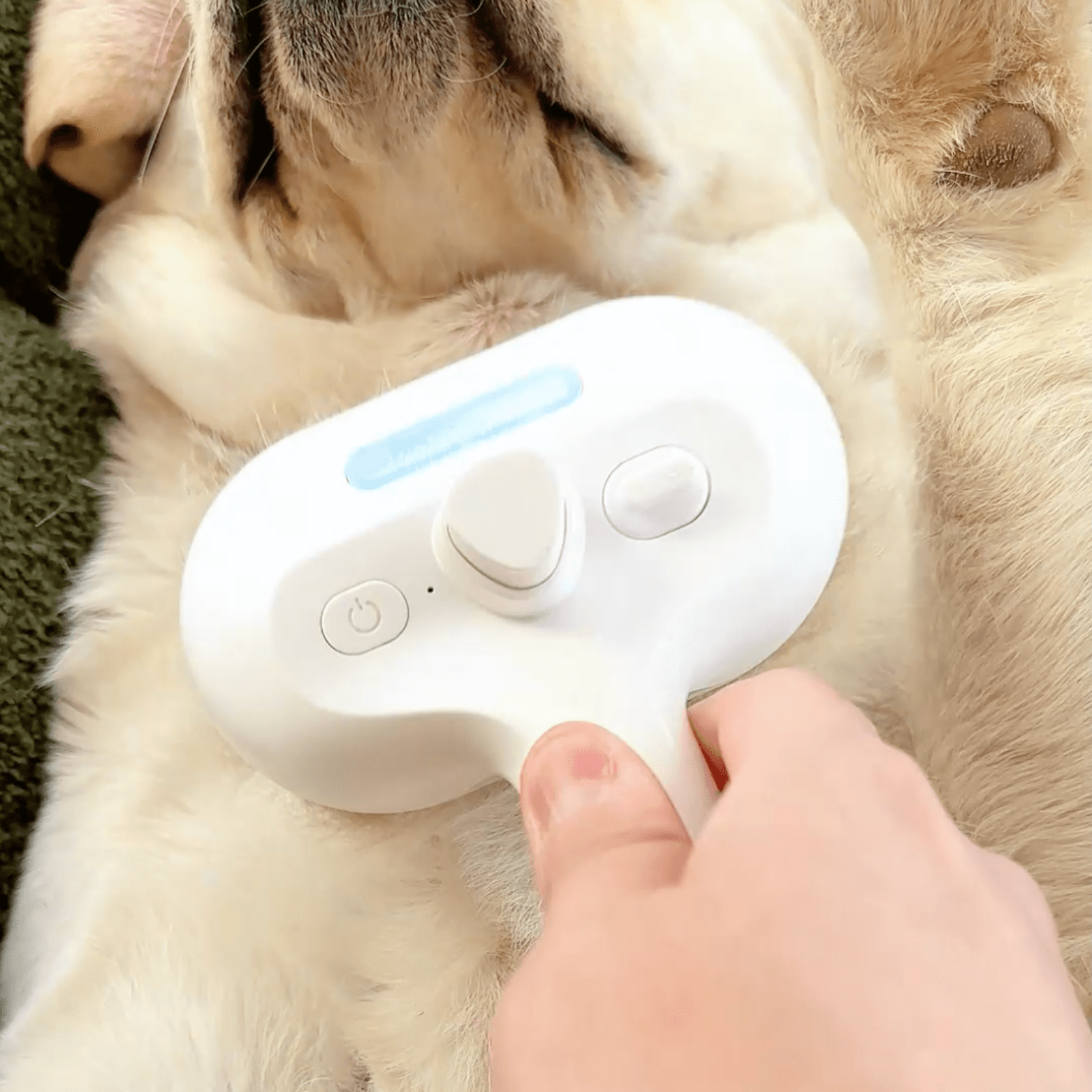 BrushPaw Dampfbürste für Hunde – Bild 3 von 7