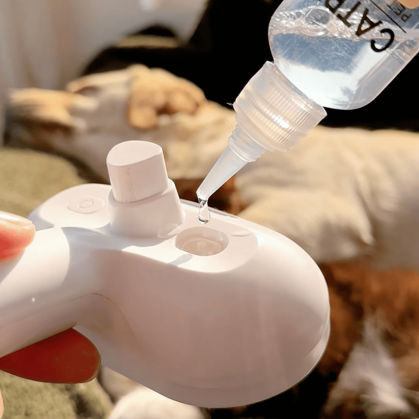 BrushPaw Dampfbürste für Hunde – Bild 4 von 7