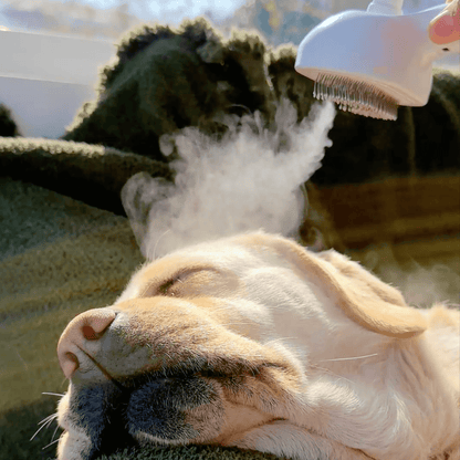 BrushPaw Dampfbürste für Hunde – Bild 5 von 7