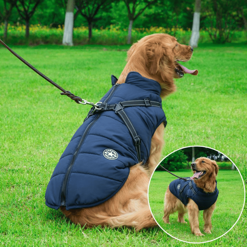 PupGuard- Winter-Hundejacke mit Geschirr – Bild 2 von 14