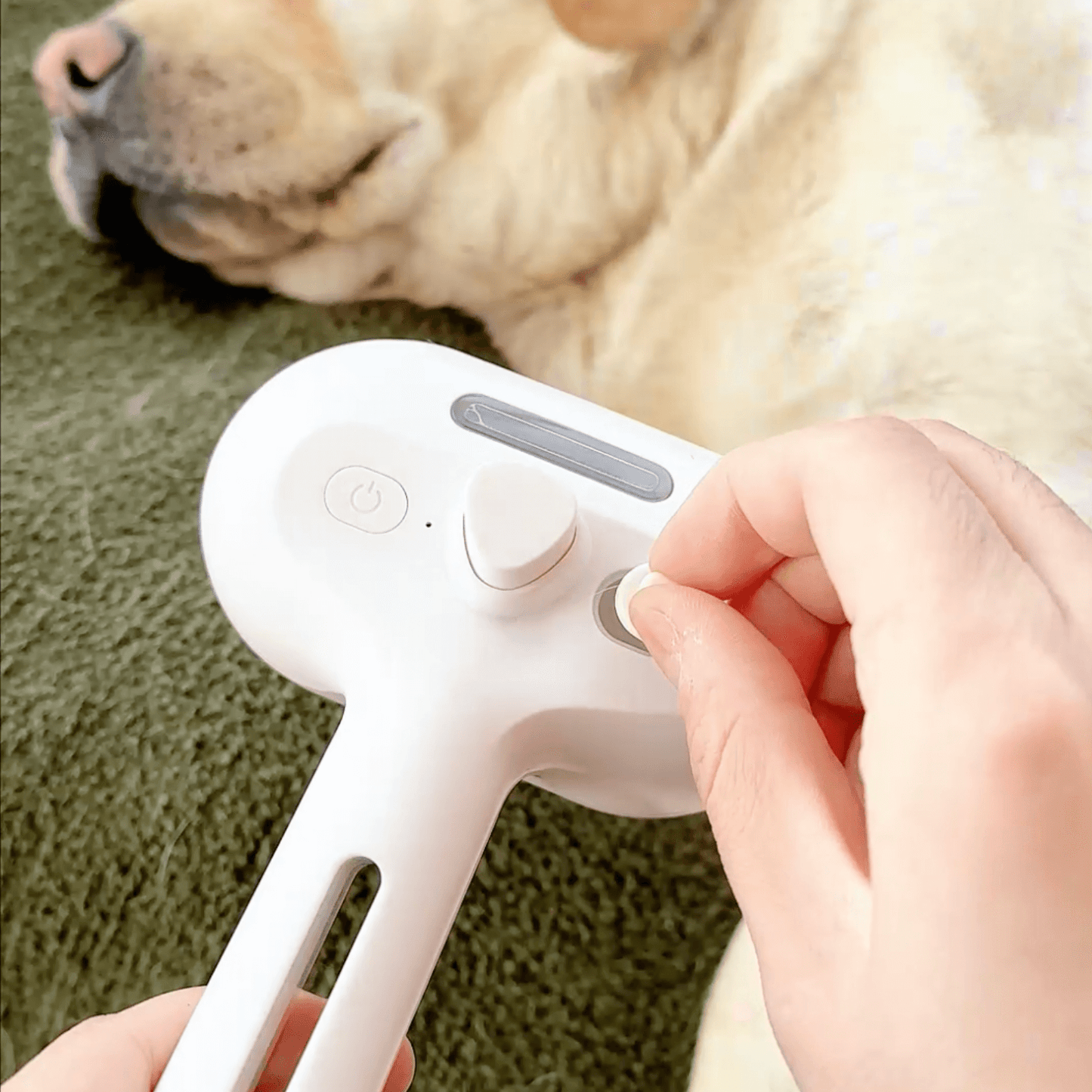 BrushPaw Dampfbürste für Hunde – Haustierbedarf
