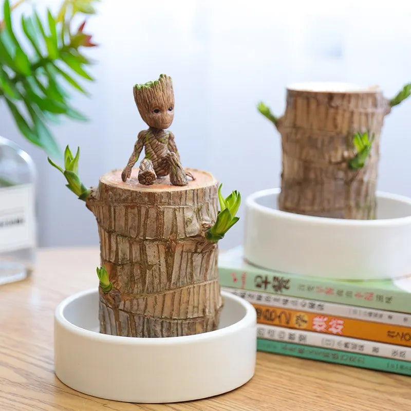 Terrarium Glücksholz – Bild 3 von 5
