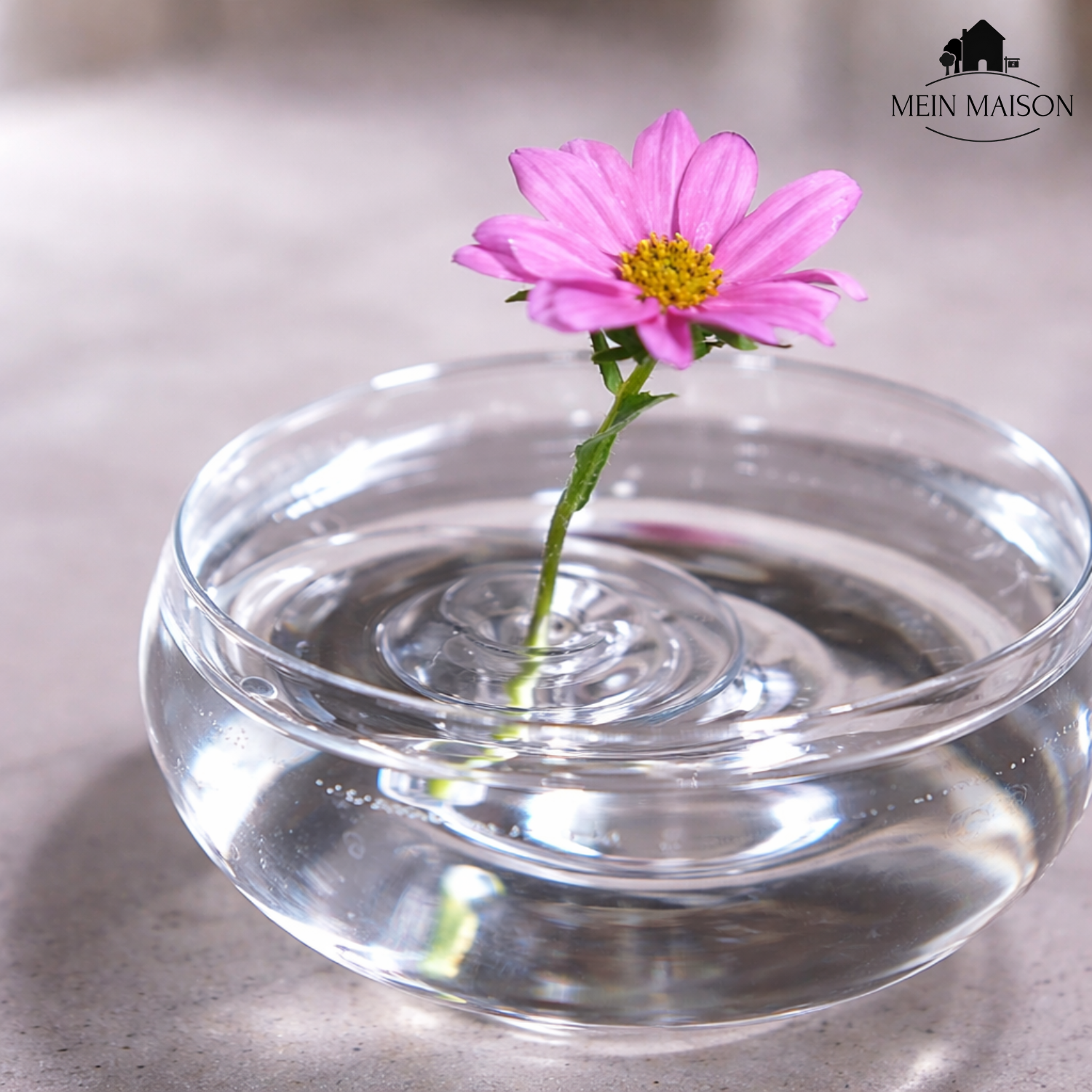 BloomRise – Hält Blumen sofort perfekt aufrecht und eindrucksvoll – Bild 7 von 9