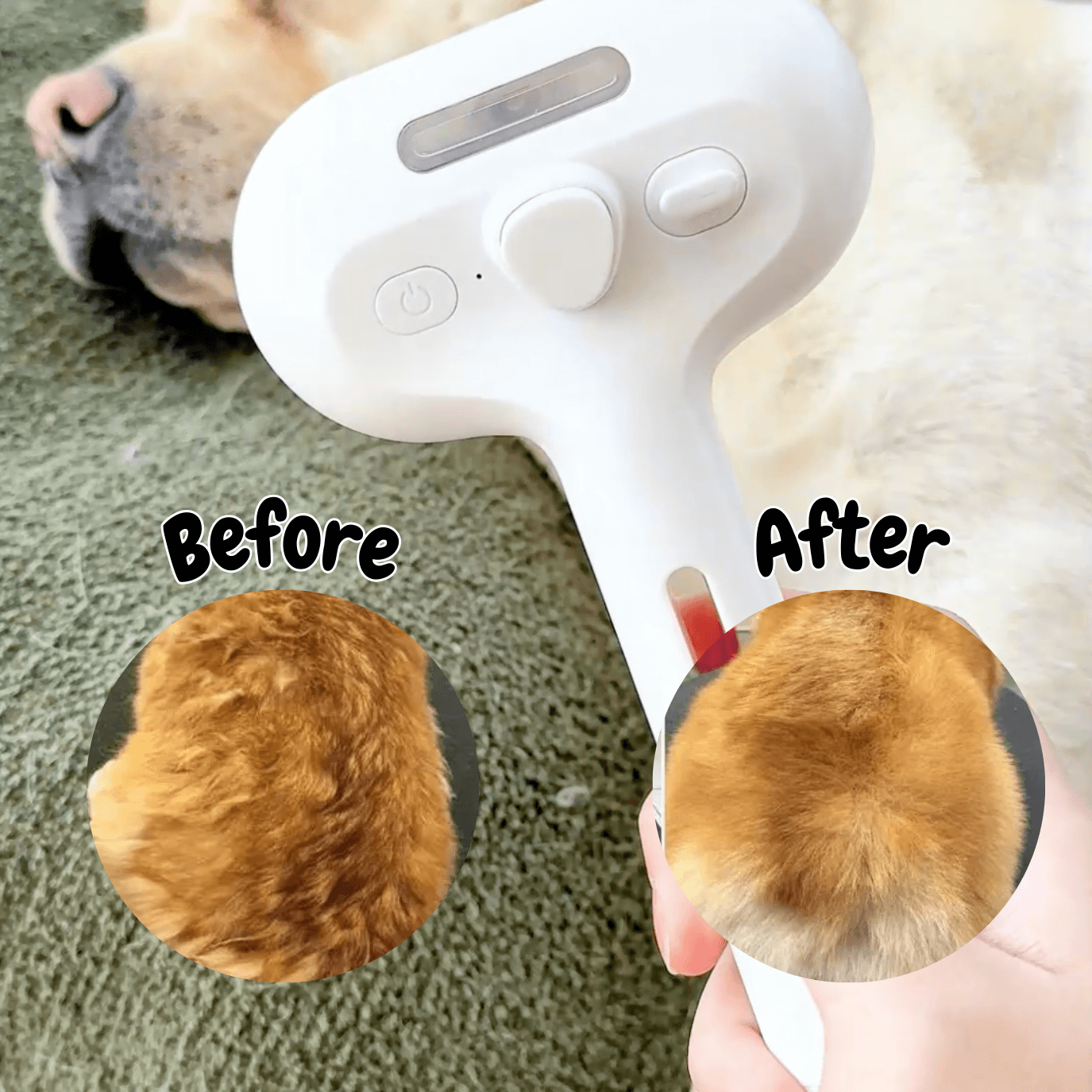 BrushPaw Dampfbürste für Hunde – Bild 2 von 7