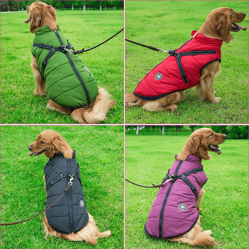 PupGuard- Winter-Hundejacke mit Geschirr – Bild 5 von 14
