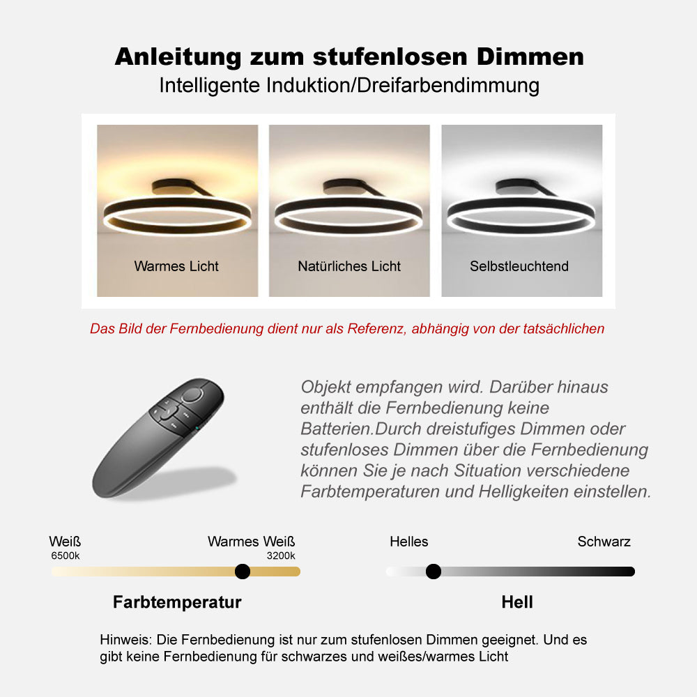 Arisha Deckenleuchte Ring  Modern LED  Schwarz/Weiß Wohnzimmer Flur Metall – Bild 7 von 11