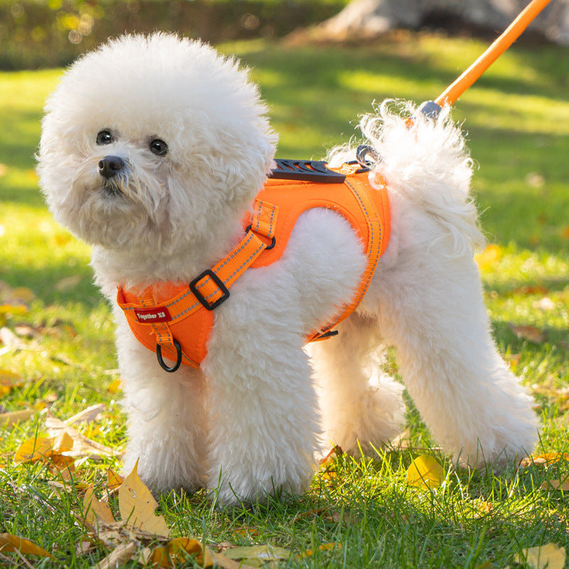 TailMate- Das bequeme Hundegeschirr – Haustierbedarf