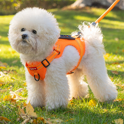 TailMate- Das bequeme Hundegeschirr – Haustierbedarf