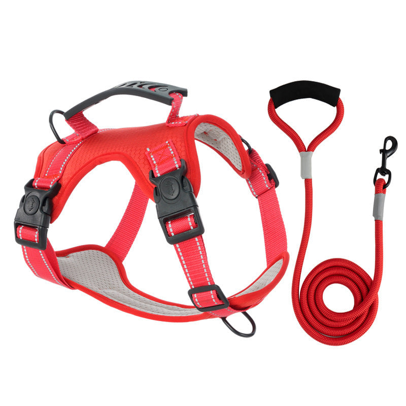 TailMate- Das bequeme Hundegeschirr – Bild 7 von 8