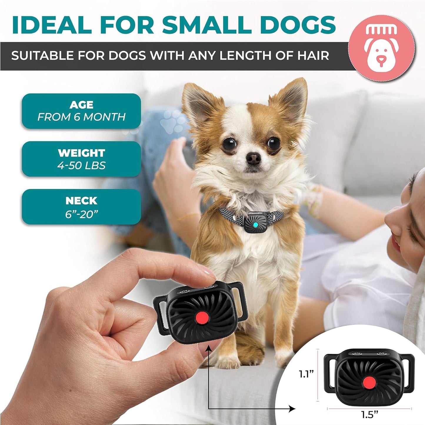 Antibellhalsband für kleine Hunde - Produktansicht