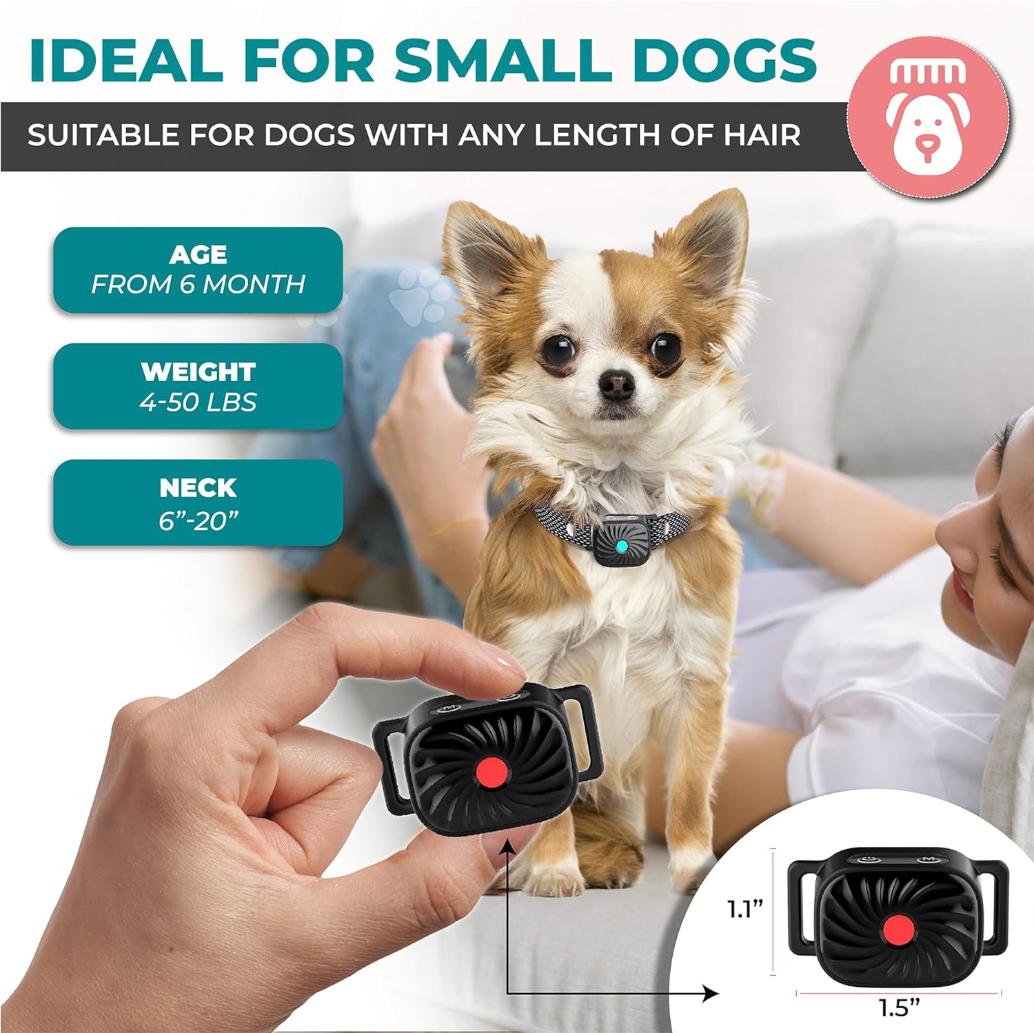 Antibellhalsband für kleine Hunde - Produktansicht