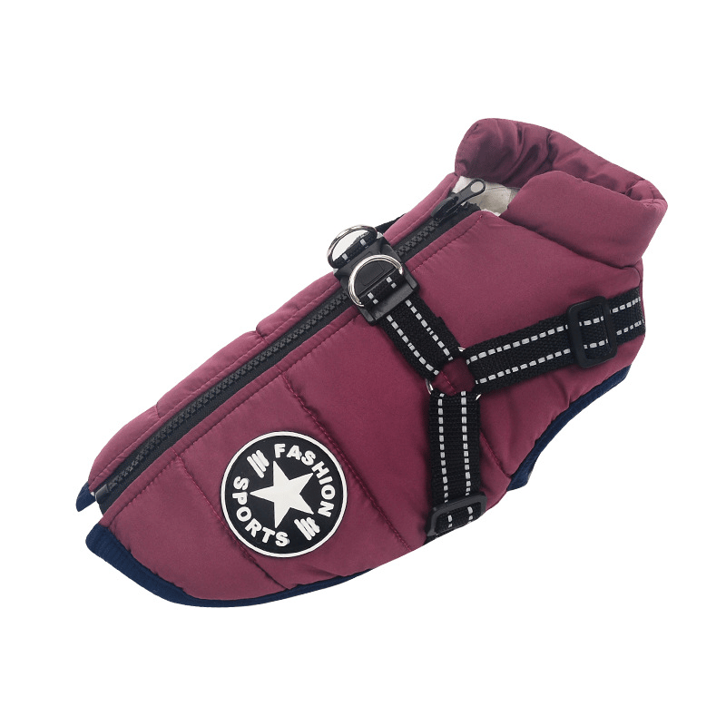 PupGuard- Winter-Hundejacke mit Geschirr – Bild 10 von 14