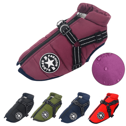 PupGuard- Winter-Hundejacke mit Geschirr – Bild 6 von 14