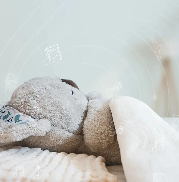 Beruhigendes Koala-Atemspielzeug - Rückansicht