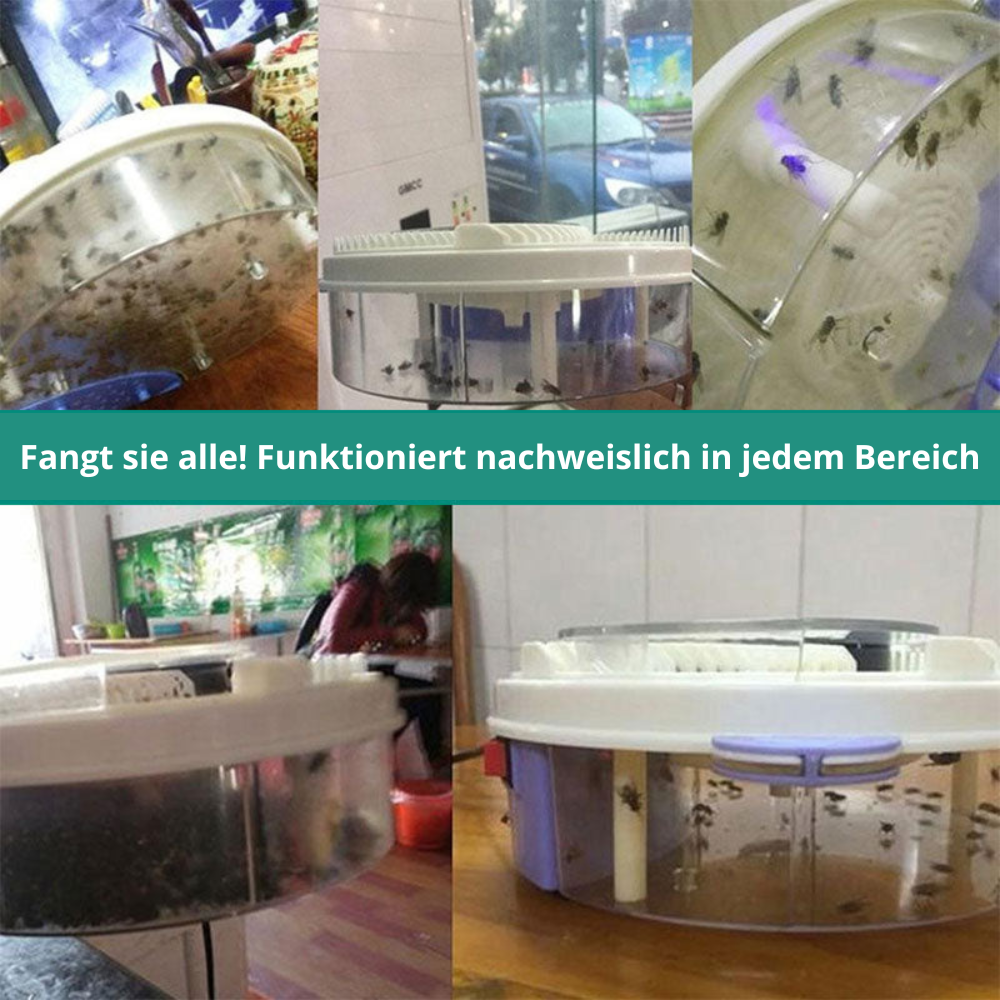 BuzzOff – Bild 13 von 15