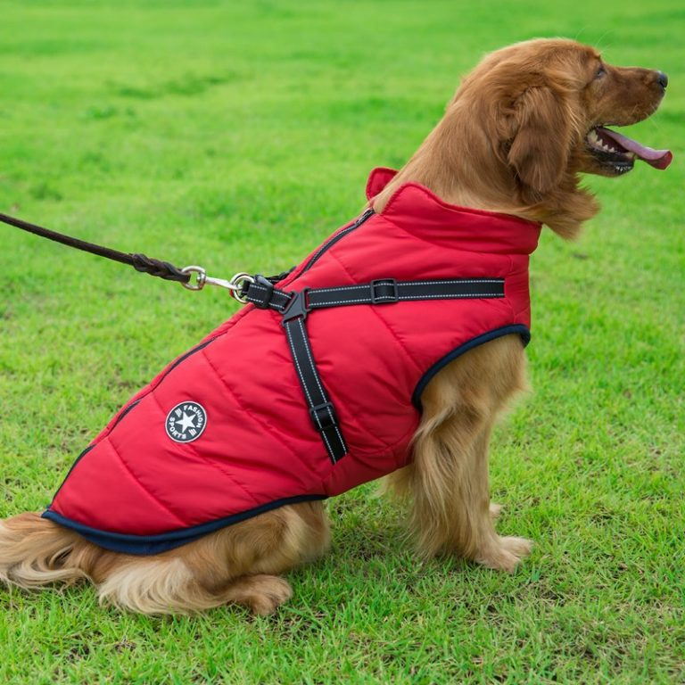 PupGuard- Winter-Hundejacke mit Geschirr – Bild 4 von 14