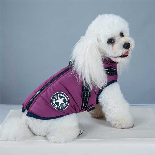 PupGuard- Winter-Hundejacke mit Geschirr – Jacke & Mantel