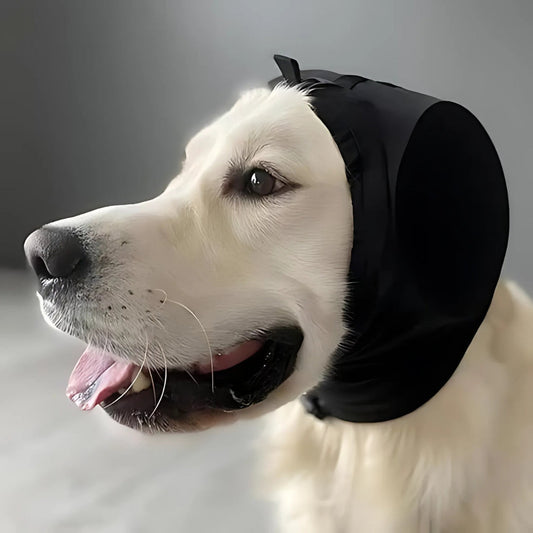 Gaius | Hund Gehörschutz - Komfort & Stressreduktion – Haustierbedarf