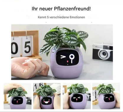 Blumentopf mit Bewässerung – Pelanva – Ansicht 3