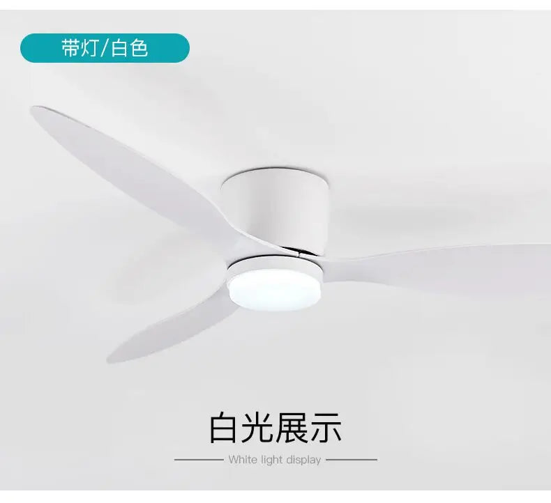 Deckenventilator mit Licht – Pelanva – Ansicht 16