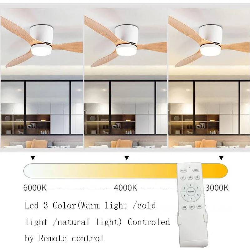 Deckenventilator mit Licht – Pelanva – Ansicht 3