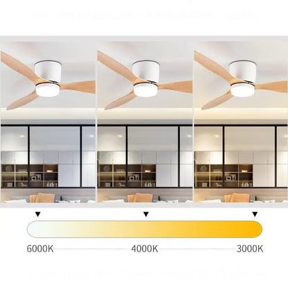 Deckenventilator mit Licht – Pelanva – Ansicht 9