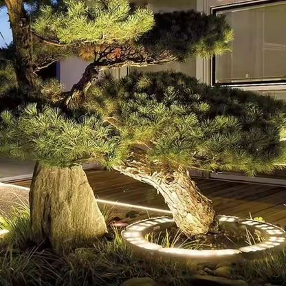 Gartenstrahler LED – Pelanva – Ansicht 7