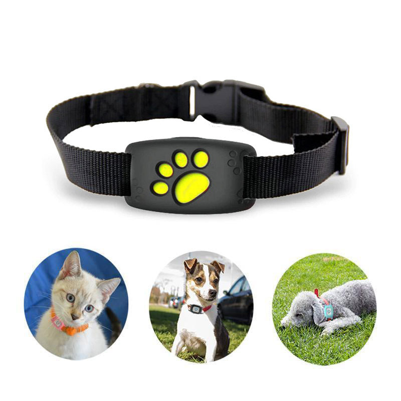GPS Tracker Katze – Pelanva – Ansicht 2