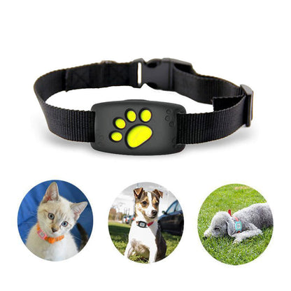 GPS Tracker Katze – Pelanva – Ansicht 2