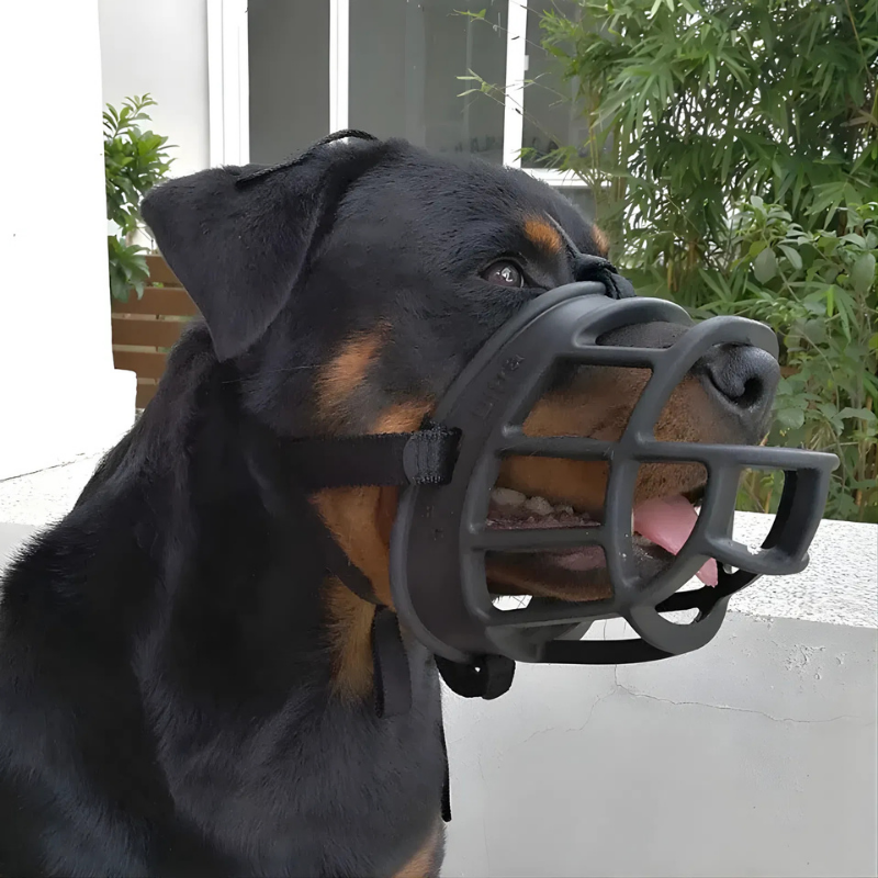 Hundemaulkorb Detailansicht – Pelanva
