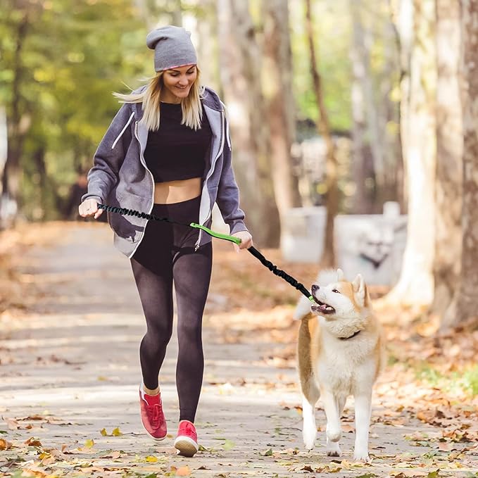 Joggingleine Hund – Pelanva – Ansicht 14