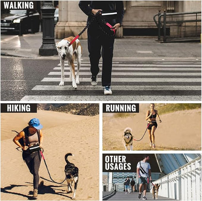 Joggingleine Hund – Pelanva – Ansicht 15