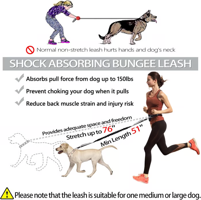 Joggingleine Hund – Pelanva – Ansicht 2