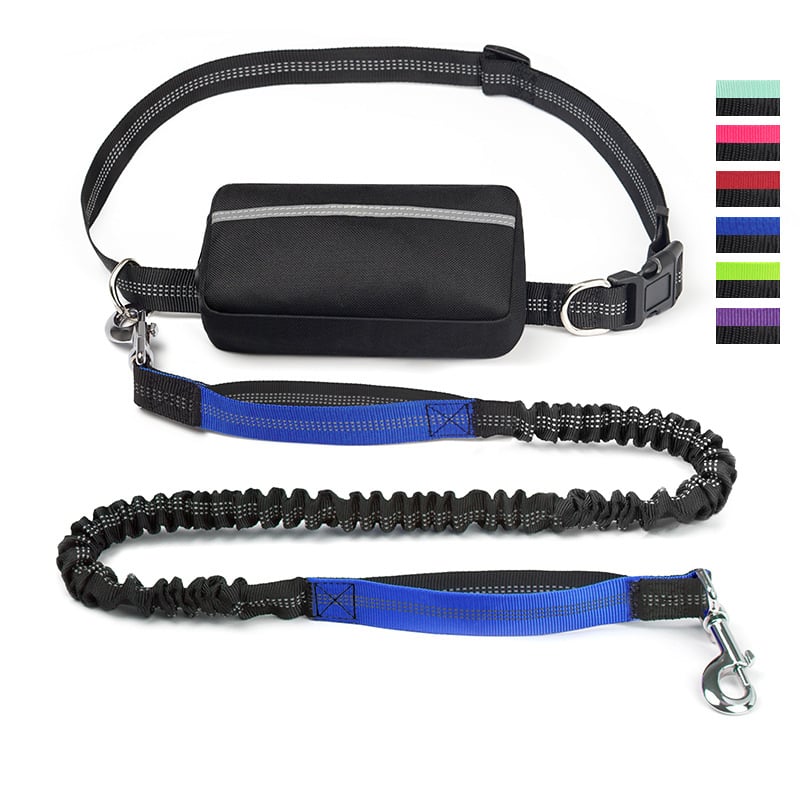 Joggingleine Hund – Pelanva – Ansicht 37