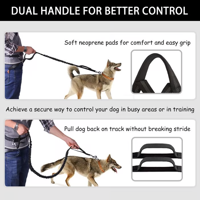 Joggingleine Hund – Pelanva – Ansicht 4