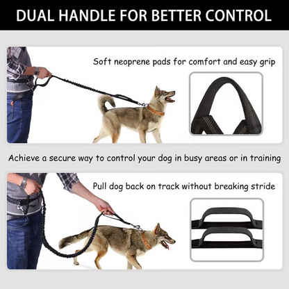 Joggingleine Hund – Pelanva – Ansicht 4