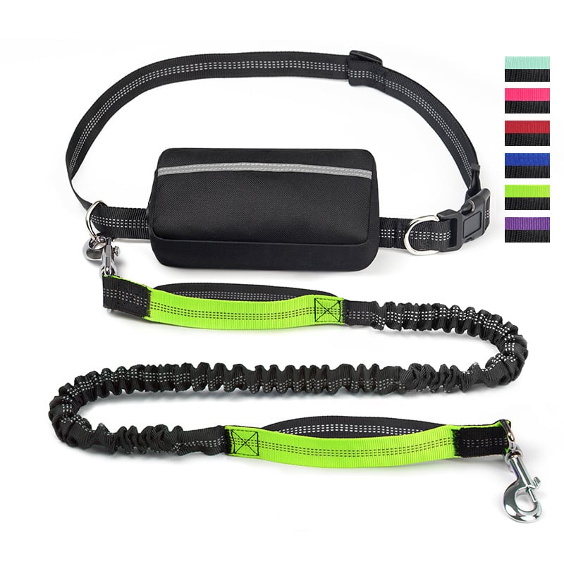Joggingleine Hund – Pelanva – Ansicht 40