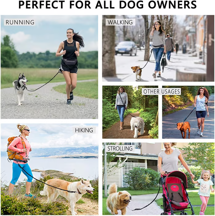 Joggingleine Hund – Pelanva – Ansicht 7