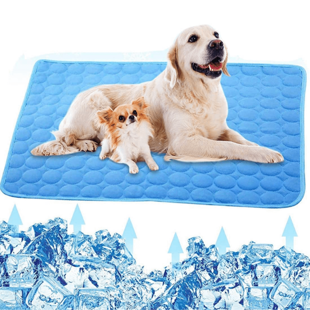 Kühlmatte Hund – Pelanva – Ansicht 10