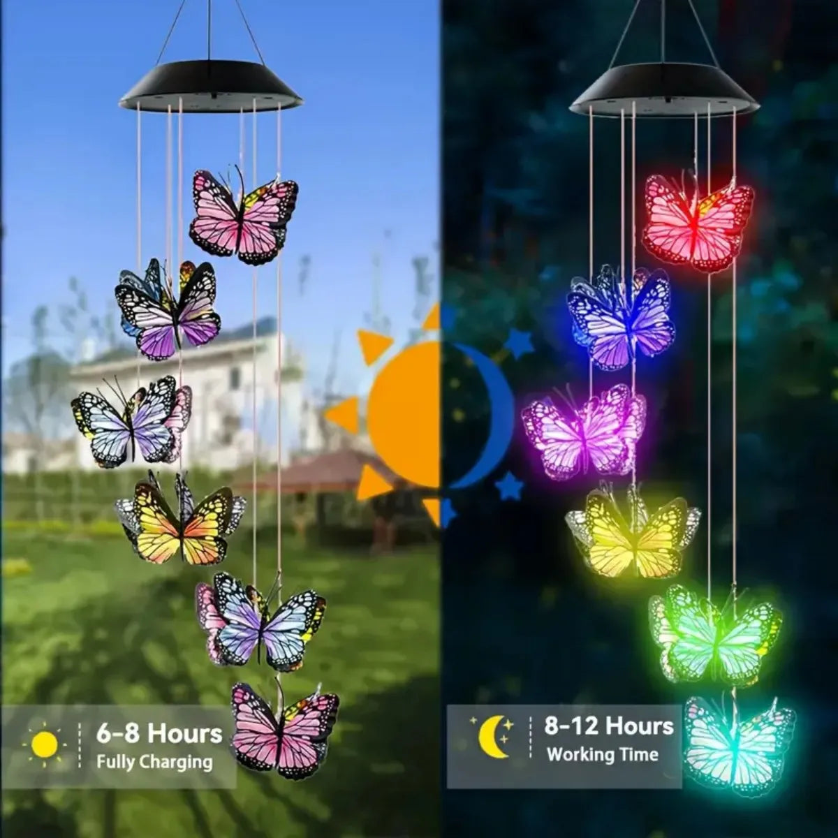 Lampe – 11