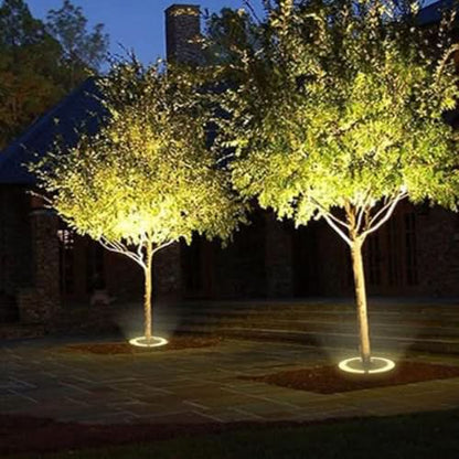 LED Baumbeleuchtung – Pelanva – Ansicht 5