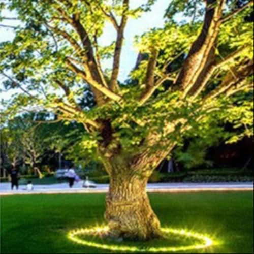 LED Baumbeleuchtung – Pelanva – Ansicht 6