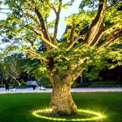 LED Baumbeleuchtung – Pelanva – Ansicht 6