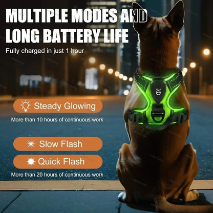 Wiederaufladbares LED-Hundegeschirr für mehr Sicherheit bei Nacht – Pelanva – Ansicht 3