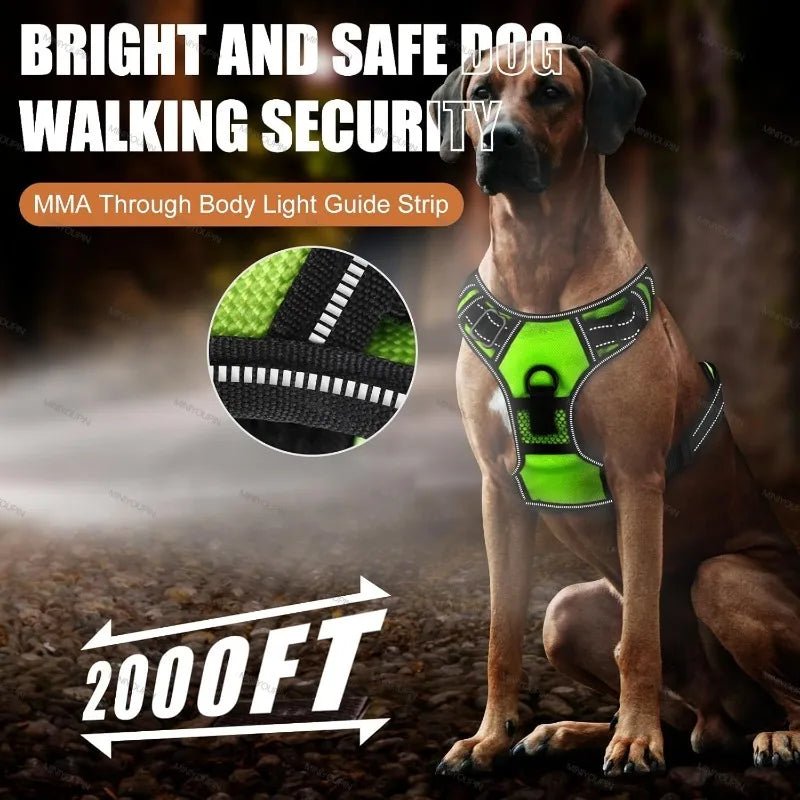 Wiederaufladbares LED-Hundegeschirr für mehr Sicherheit bei Nacht – Pelanva – Ansicht 4