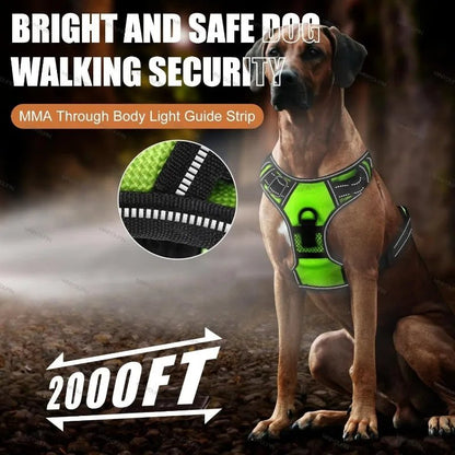 Wiederaufladbares LED-Hundegeschirr für mehr Sicherheit bei Nacht – Pelanva – Ansicht 4