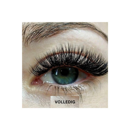 Magnetische Wimpern – Pelanva – Ansicht 6