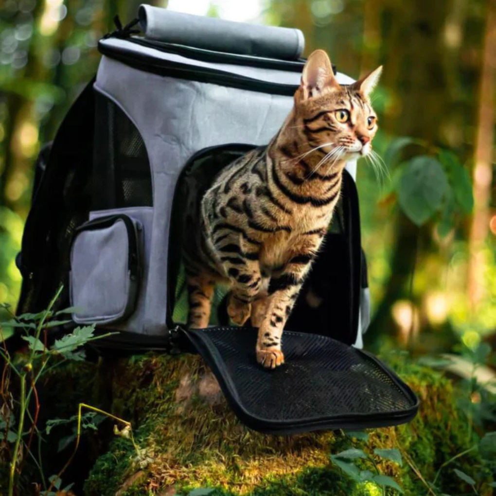 Rucksack