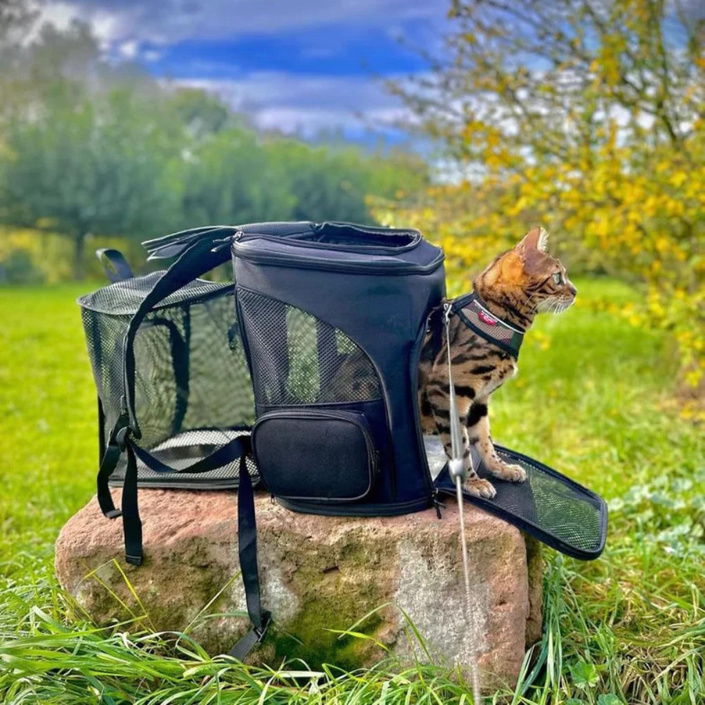Rucksack – 3