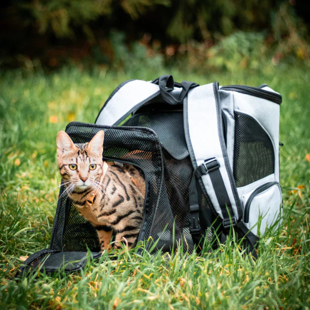 Rucksack